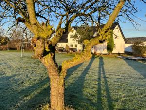 Galería fotográfica de Bakkely en Hjortshøj