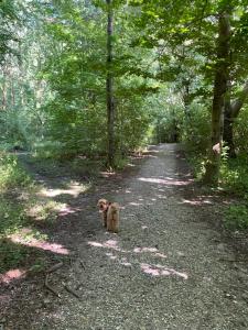 Galería fotográfica de Bakkely en Hjortshøj