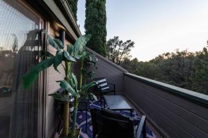 a porch with two chairs and a plant on it at Luxe Boutique-Style Home w/Indoor Hot Tub in Sedona