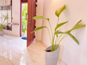 Fotografie z fotogalerie ubytování Su Yu villa v destinaci Unawatuna