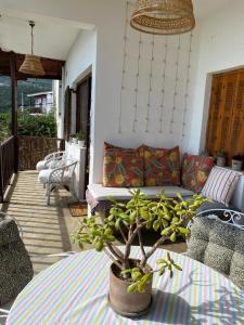 a patio with a couch and a potted plant on a table at THE COUNTRY HOUSE KOUTSOUPIA in Kókkinon Nerón +41 photos