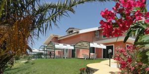 Un jardín fuera de Al Ficodindia