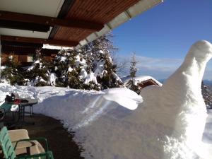 a snow covered yard with a christmas tree at Almhaus Florian in Treffen