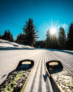 Panorama View-Stoykite trong mùa đông