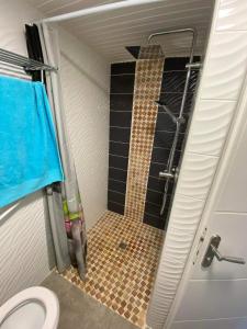 ル・ディアマンにあるStudio panoramiqueのシャワーとトイレ付きの小さなバスルーム