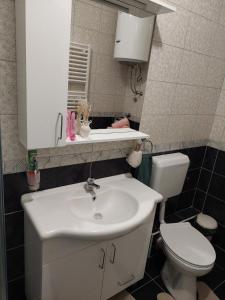 a bathroom with a white sink and a toilet at Stan na dan Banovic in Bijeljina +18 photos