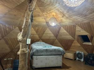 a bedroom in a tree house with a bed in it at Cabaña Domo Bosque Escondido in Recinto