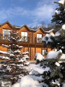 a log cabin in the snow with a tree at Брусний View House in Sheshory