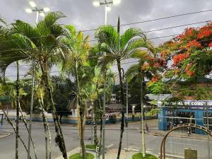 a group of palm trees on the side of a street at Hotel Lima in Barra do Turvo