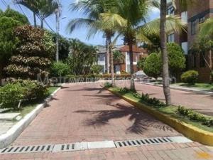 a brick road with palm trees on a street at Acogedor Apartamento Girardot in Girardot