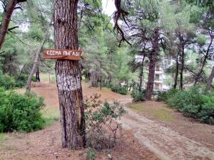 Príroda v okolí apartmánu