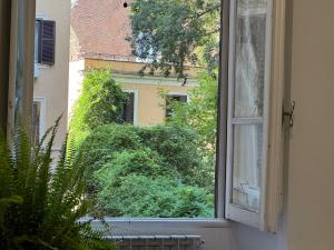 A garden outside House Maximo at Colosseum