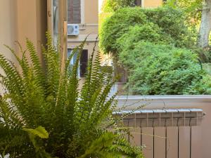 A garden outside House Maximo at Colosseum