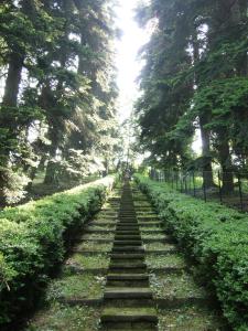 A garden outside Il Colombé B&B