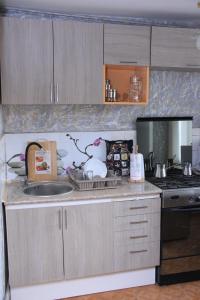 a kitchen with a sink and a stove at Old Friends Cozy House in Gyumri