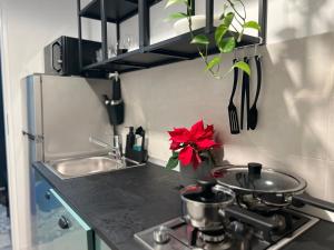 a kitchen with a stove and a red flower on the counter at Cosy studio Floreasca in Bucharest +33 photos