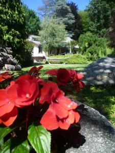 A garden outside Il Colombé B&B