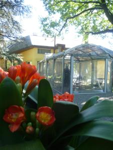 A garden outside Il Colombé B&B