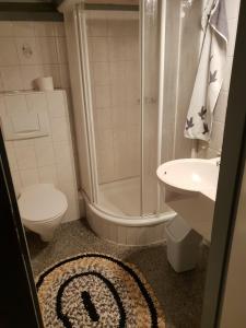 a bathroom with a shower and a toilet and a sink at Ferienhaus 52 in Kirchheim