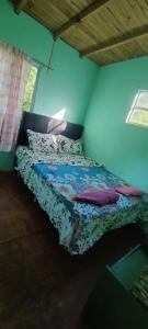 un dormitorio con una cama en una habitación en La casita amarilla, en Tigre