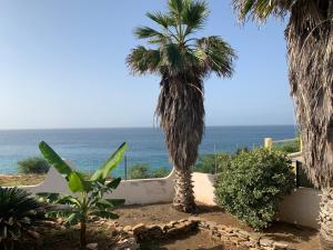 una vista dell'oceano da un resort con palme di Tropikal House Facing Ocean a Vila do Maio