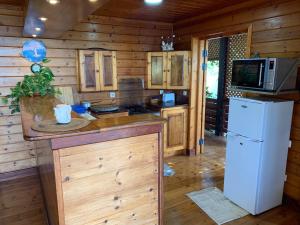Cucina o angolo cottura di Tropikal House Facing Ocean