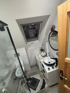 Un baño con ducha, inodoro y lavabo. en Domek u Jarząbków, en Ciche