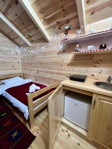 a tiny house with a sink and a bed in it at Vojinov kutak in Mojkovac
