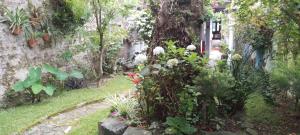 Aed väljaspool majutusasutust Espaço, natureza e clima familiaar