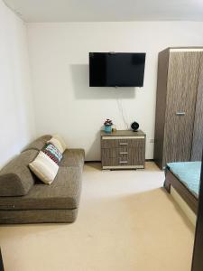 TV a/nebo společenská místnost v ubytování Snow Forest