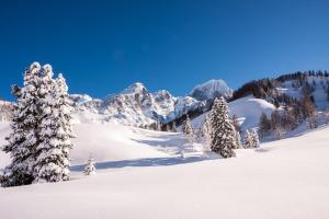 フィルツモースにあるHotel Gasthof Krahlehenhofのギャラリーの写真