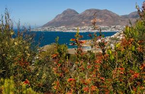 a view of a city and the ocean with mountains at Bay Vista Garden Flat in Glencairn
