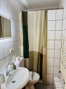 Et badeværelse på Charmantes Altstadt-Juwel an der Elbe + 10 billeder