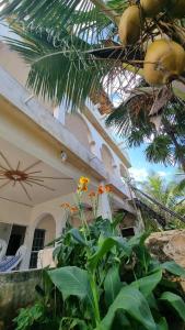 Fotografie z fotogalerie ubytování La Casa del sol, beachfront villa v destinaci El Cuyo