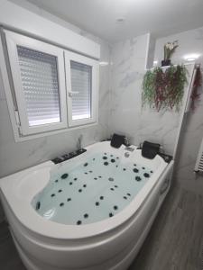 Imagine din galeria proprietății Apartamento con Jacuzzi El Rincón de las Delicias în Zaragoza
