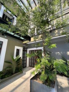 a building with a tree in front of it at Eonia in Atlixco