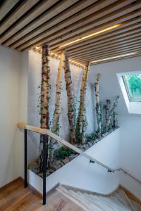 Fotografie z fotogalerie ubytování TrojHouse v destinaci Trojanovice