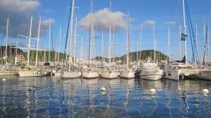 a bunch of boats docked in a harbor at L'Îlot de la Marina in Le Marin