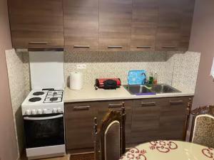a small kitchen with a stove and a sink at Forest House in Karditsa