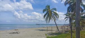 a beach with two palm trees and a pier at Cabaña Flor de Loto in San Bernardo del Viento