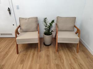 two chairs and a potted plant in a room at Apartamento a 500 metros da Praia do Forte in Cabo Frio
