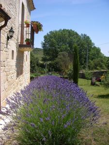 Gallery image of La Ondina in Salazar