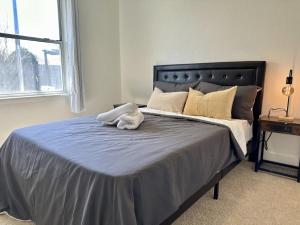 Gallery image of Fun and Action in Richardson! in Richardson