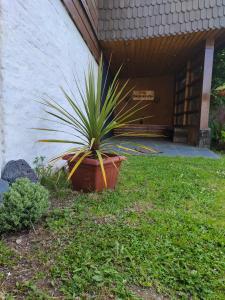 Zahrada ubytování Departamentos Entre Lagos
