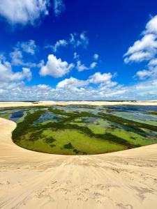 a green island in the sand on a beach at Paracuru casa temporada Villa Ariane in Paracuru