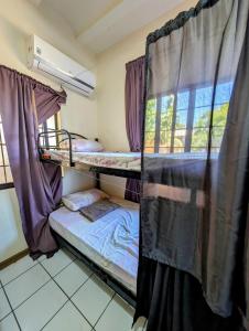 Rúm í herbergi á Screaming Gecko Hostel
