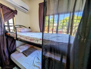 Rúm í herbergi á Screaming Gecko Hostel