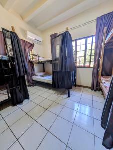 Kuchyň nebo kuchyňský kout v ubytování Screaming Gecko Hostel