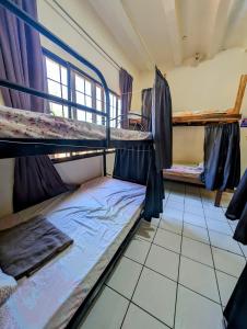 Rúm í herbergi á Screaming Gecko Hostel