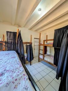 Rúm í herbergi á Screaming Gecko Hostel